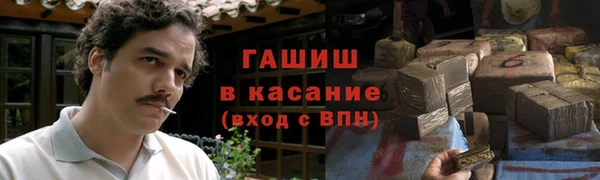 гашик Пестово