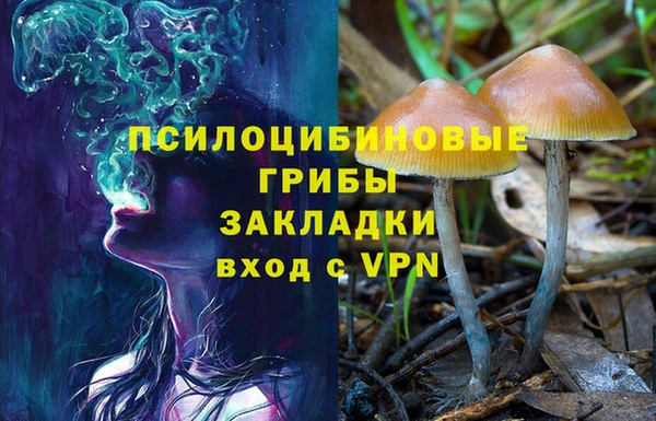 гидропоника Аркадак