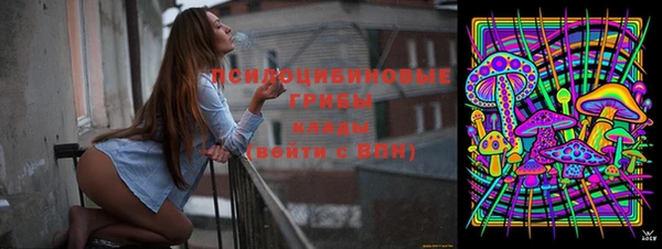 винт Алексеевка
